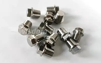 Titanium 18 NPT bolt.webp